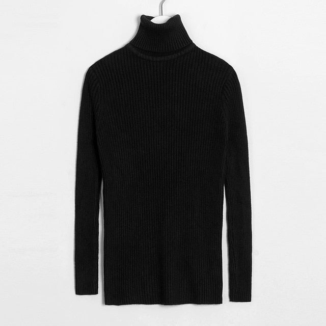 Solid Knitted Sweaters And Pullovers Winter Turtleneck Basic Pull Must Have Tops Womens - SixtyKey new model design Dubai fashion style 2021 best price
